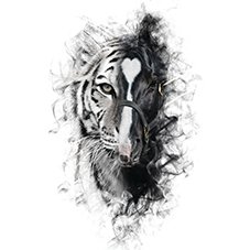 Para sacarte de mi vida Alejandro Fernández y Los Tigres del Norte