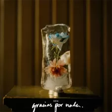 Gracias por nada Reik