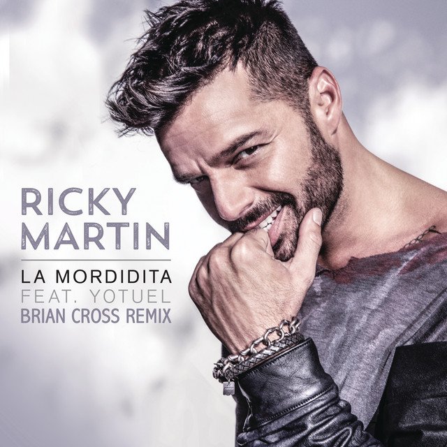 La mordidita Brian Cross Remix Ricky Martin y Yotuel